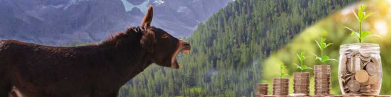 La charge des campagnes